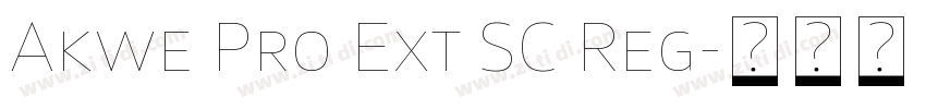 Akwe Pro Ext SC Reg字体转换